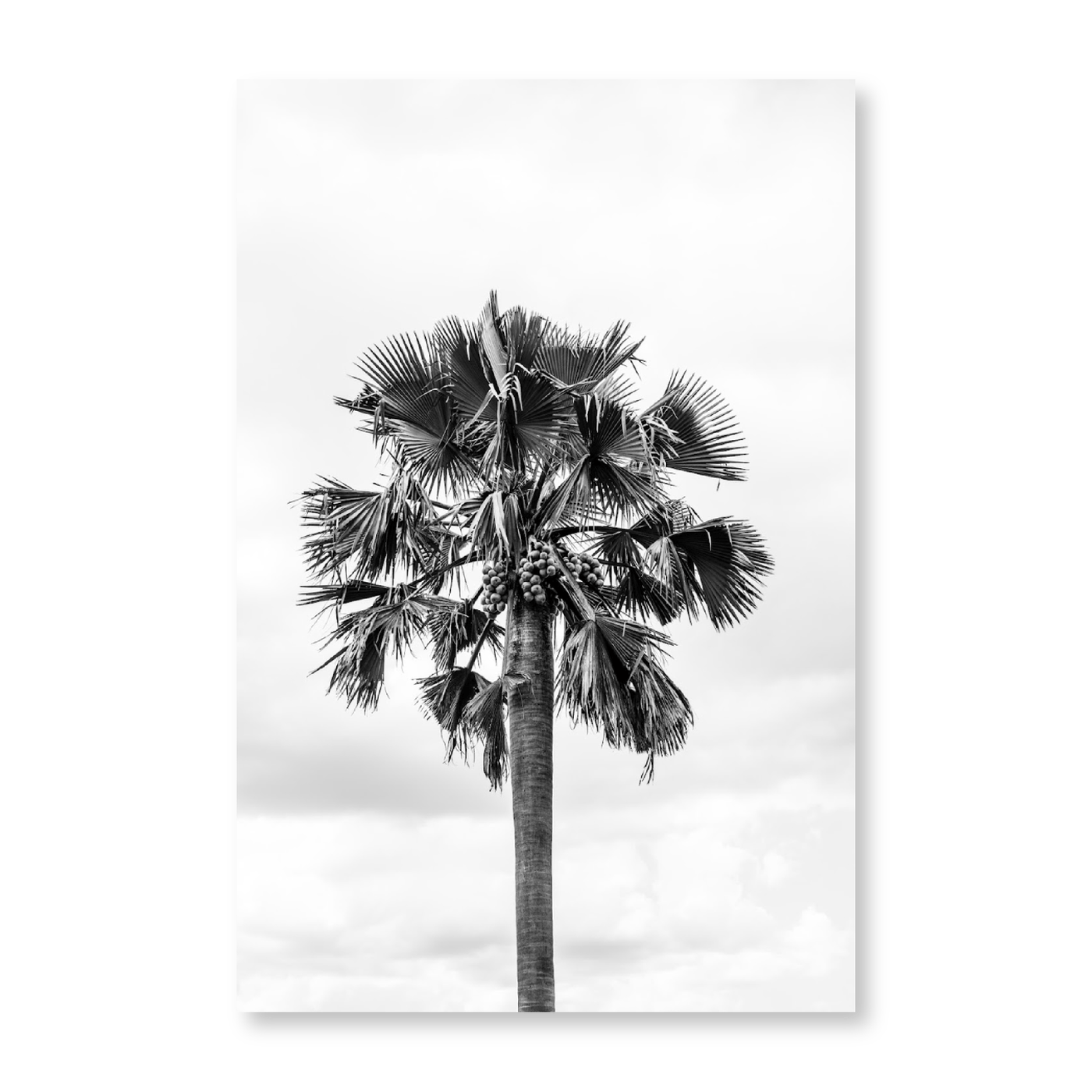 African Palm Tree - Jasper & Jute