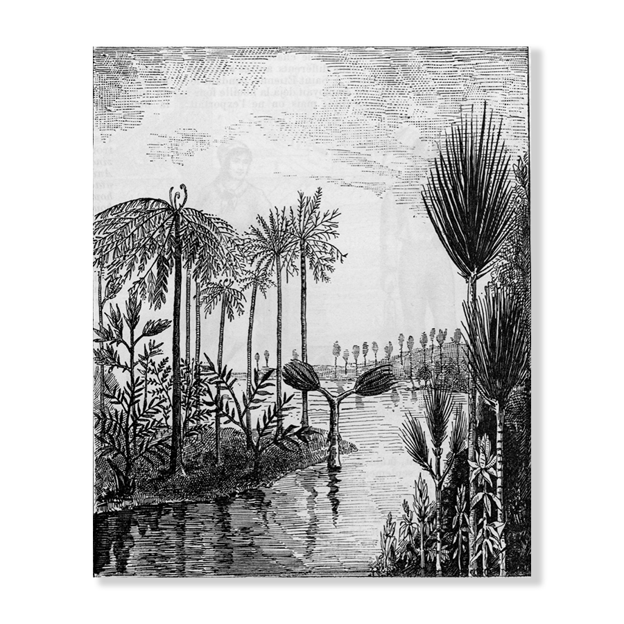 Antique Etching XIV - Jasper & Jute