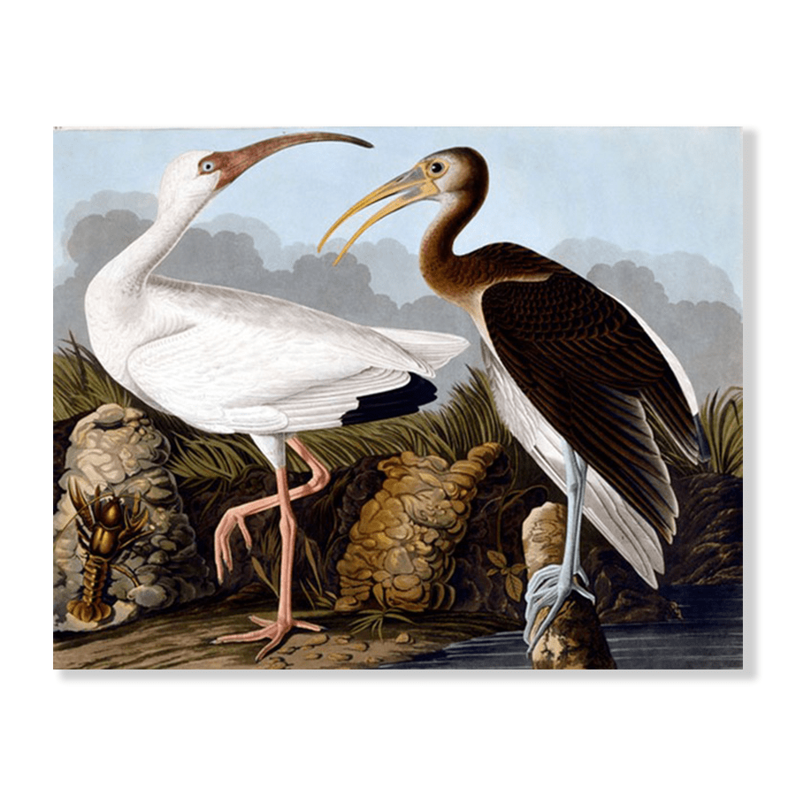 Audubon Egrets - Jasper & Jute