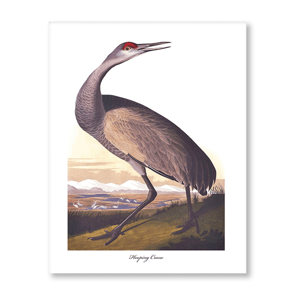 Audubon Hooping Crane II - Jasper & Jute