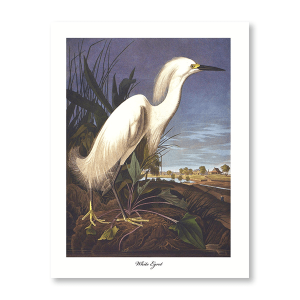 Audubon White Egret - Jasper & Jute