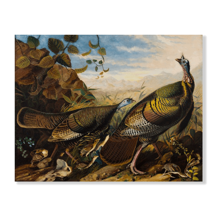 Audubon Wild Turkeys - Jasper & Jute