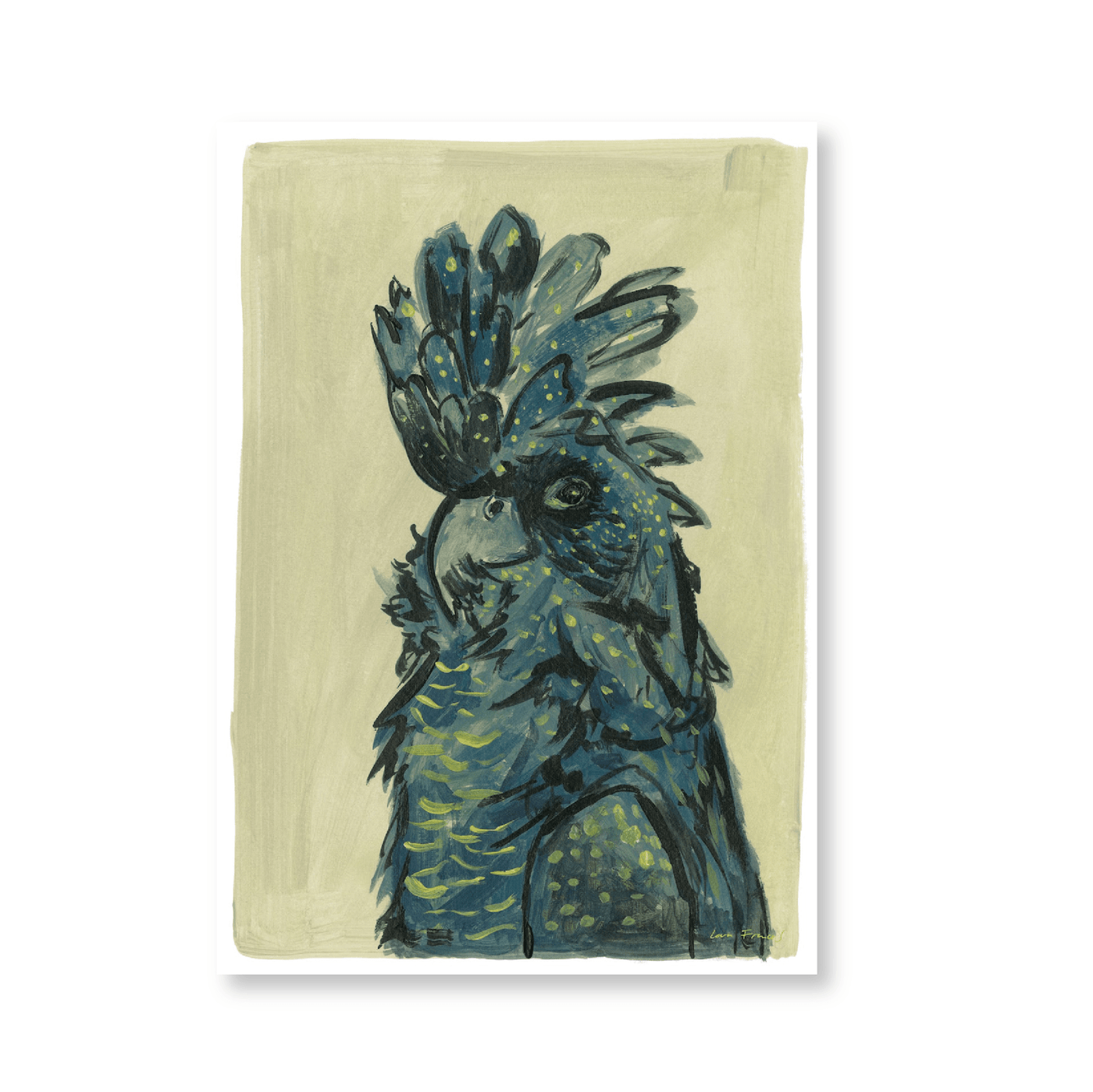 Black Cockatoo Portrait - Jasper & Jute