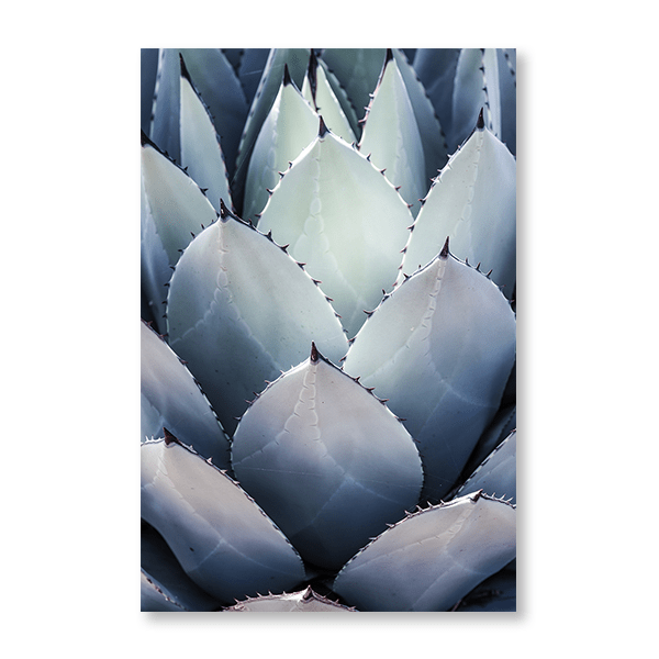 Blue Agave Side - Jasper & Jute