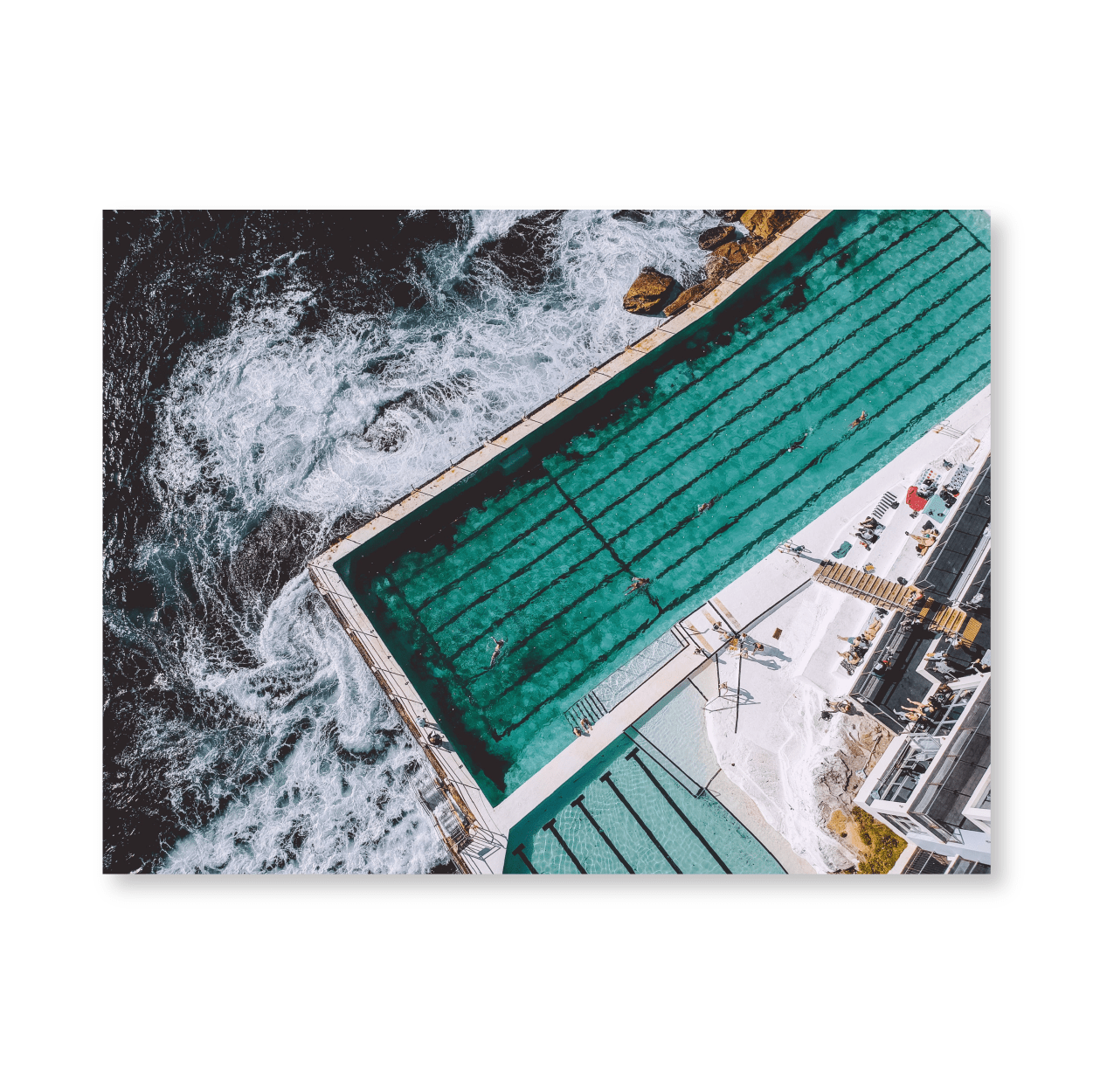 Bondi Icebergs - Jasper & Jute