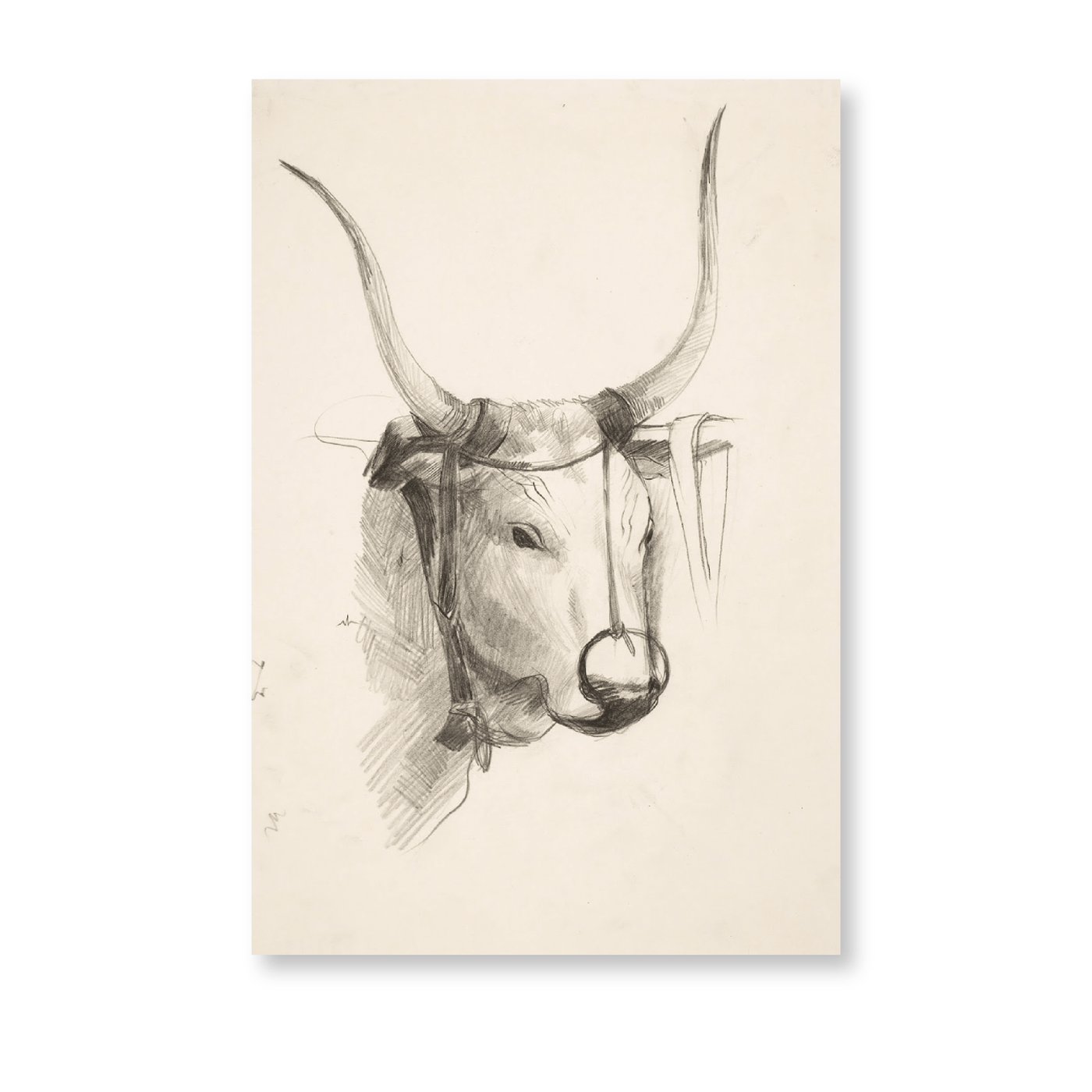 Bull's Head - Jasper & Jute