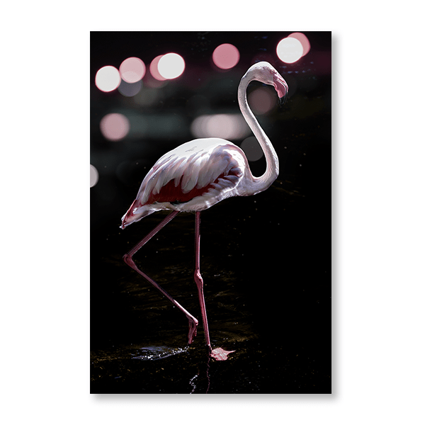 Dancing Flamingo - Jasper & Jute