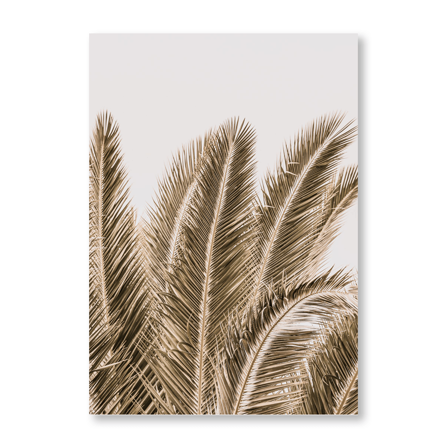 Desert Palm - Jasper & Jute