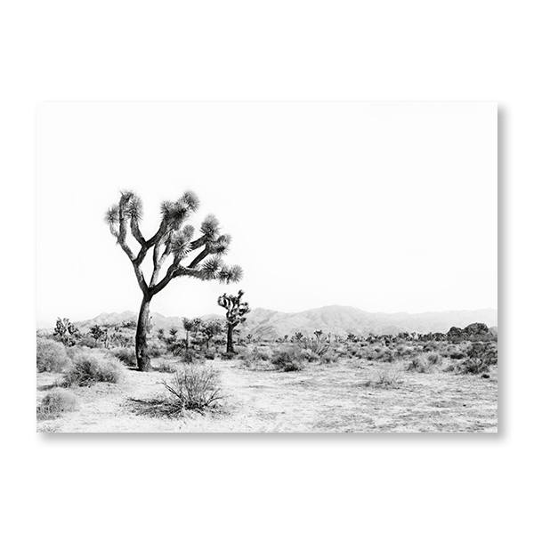 Desert Scene - Jasper & Jute