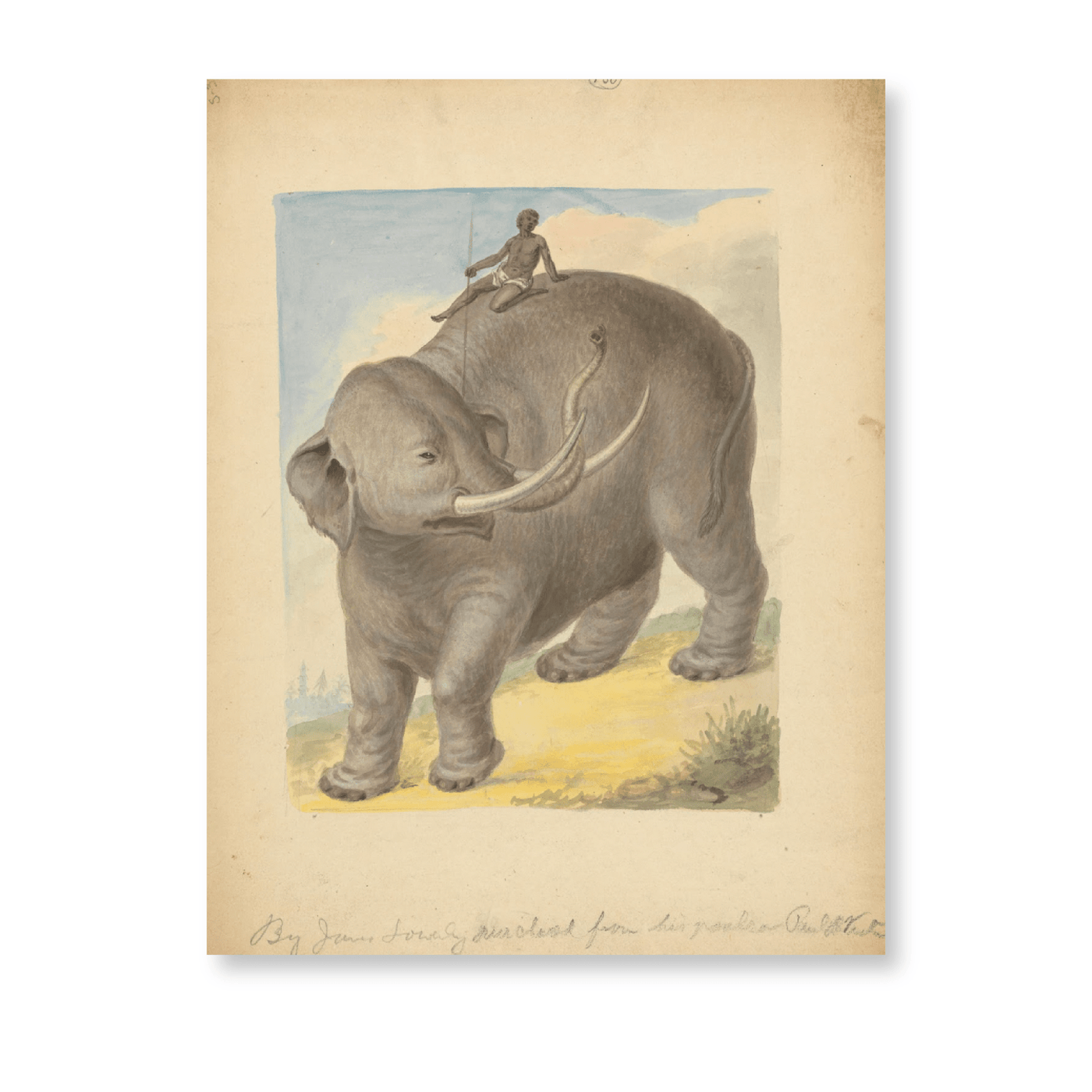 Elephant With Rider - Jasper & Jute