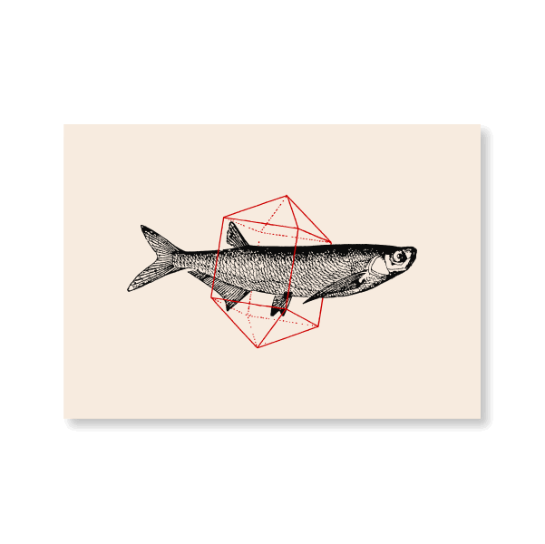 Fish in Geometrics II - Jasper & Jute