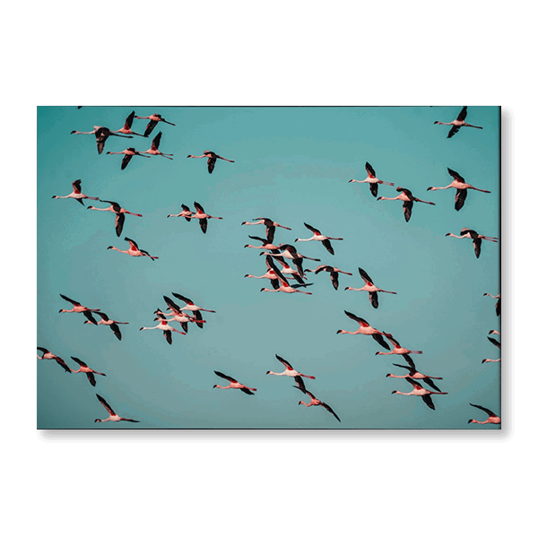 Flamingos in Flight - Jasper & Jute