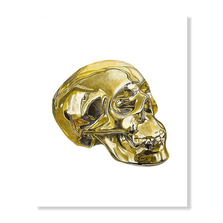 GOLD SKULL - Jasper & Jute