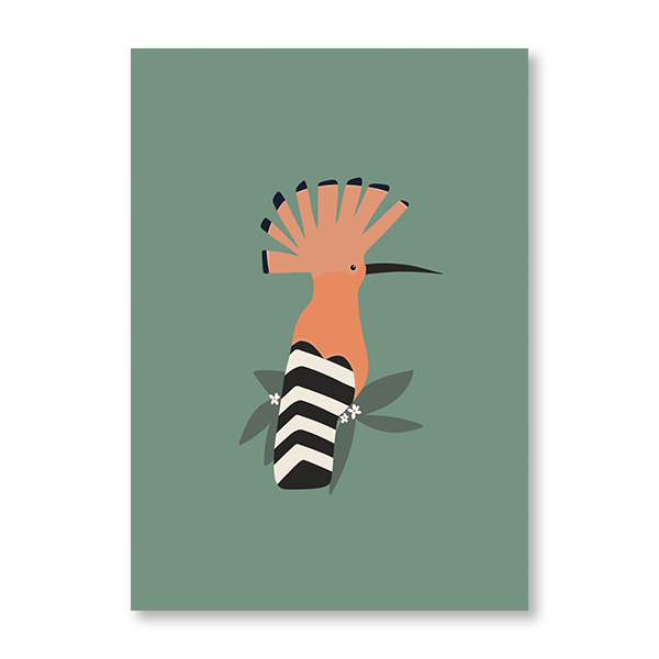 Hoopoe - Jasper & Jute