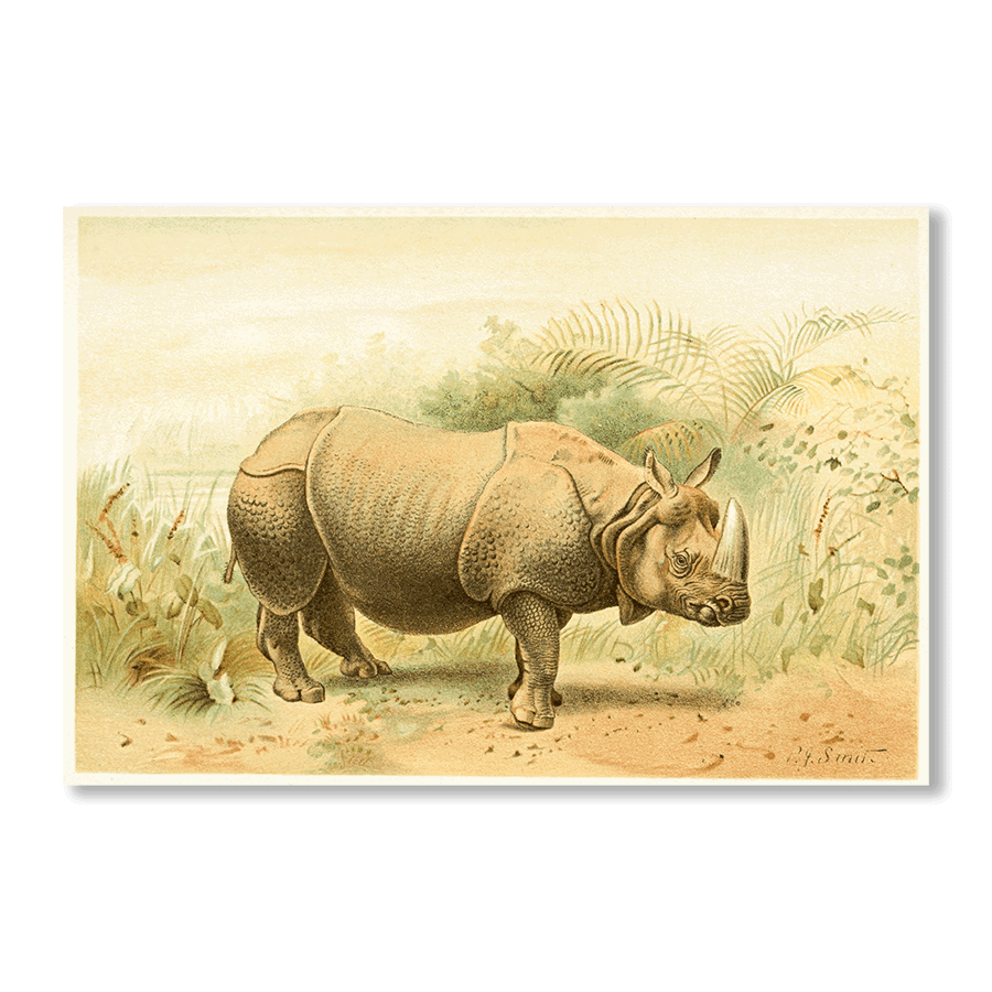 Indian Rhinoceros - Jasper & Jute