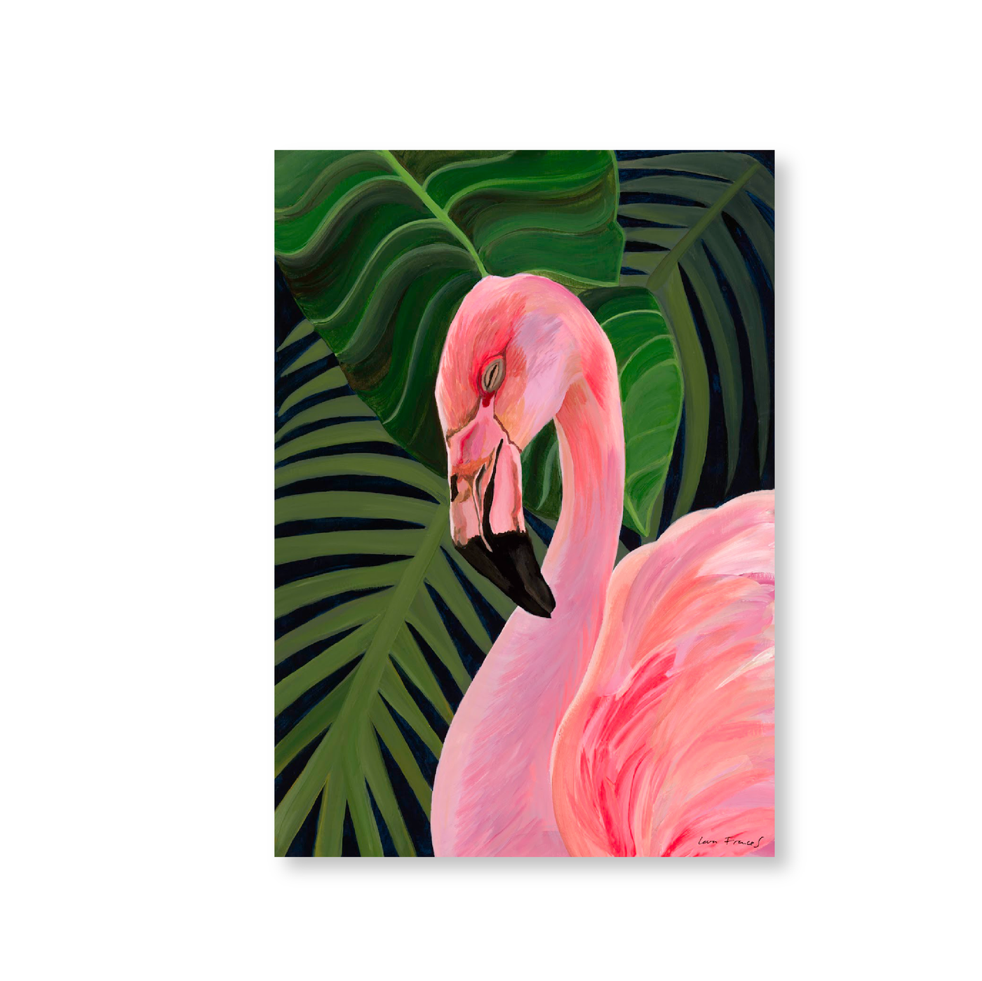 Tropical Flamingo | Original