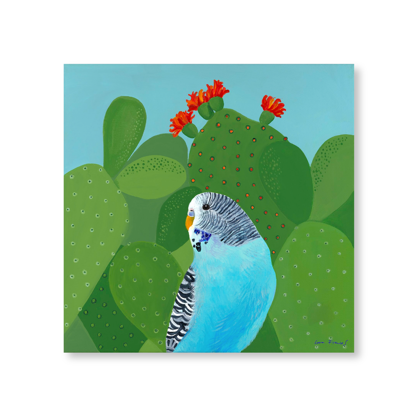 Flowering Budgie