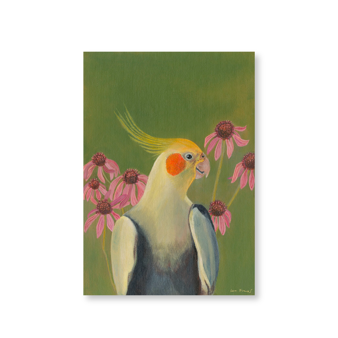 Cockatiel Echinacea | Original