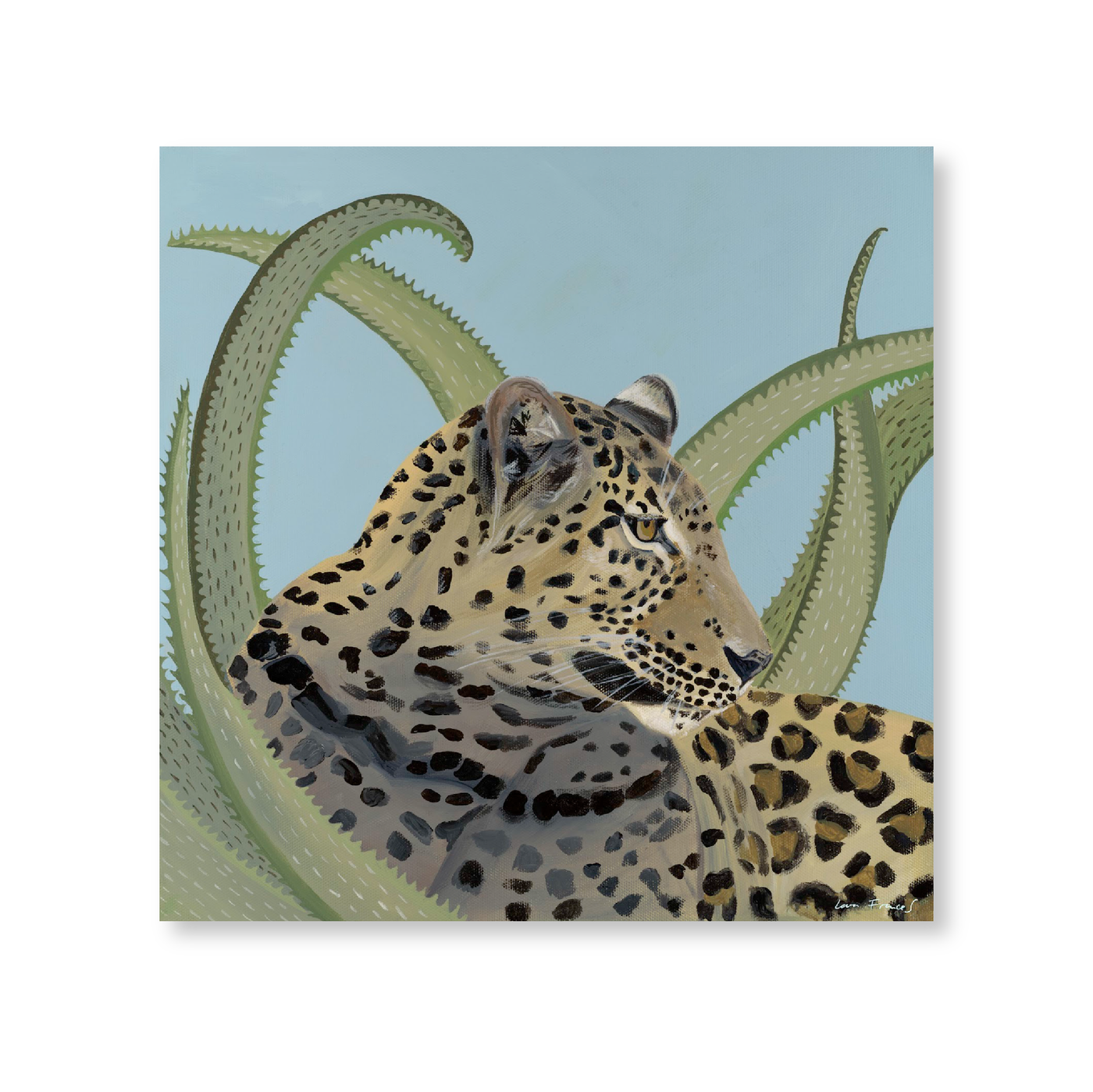 Leopard in Aloe | Original