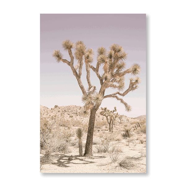 Joshua Tree - Jasper & Jute