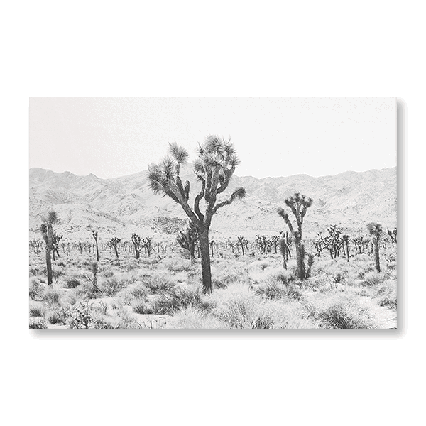 Joshua Tree II - Jasper & Jute