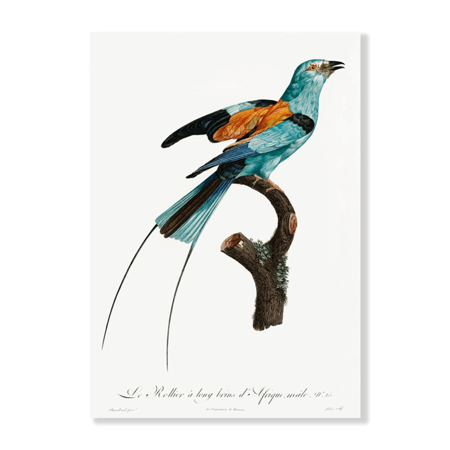 Long Stranded African Roller - Jasper & Jute