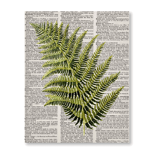 Newspaper Fern - Jasper & Jute