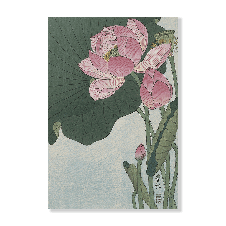 Ohara Koson: "Blooming Lotus Flowers" - Jasper & Jute