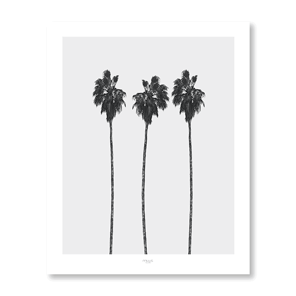 Palm Tree Portrait - Jasper & Jute