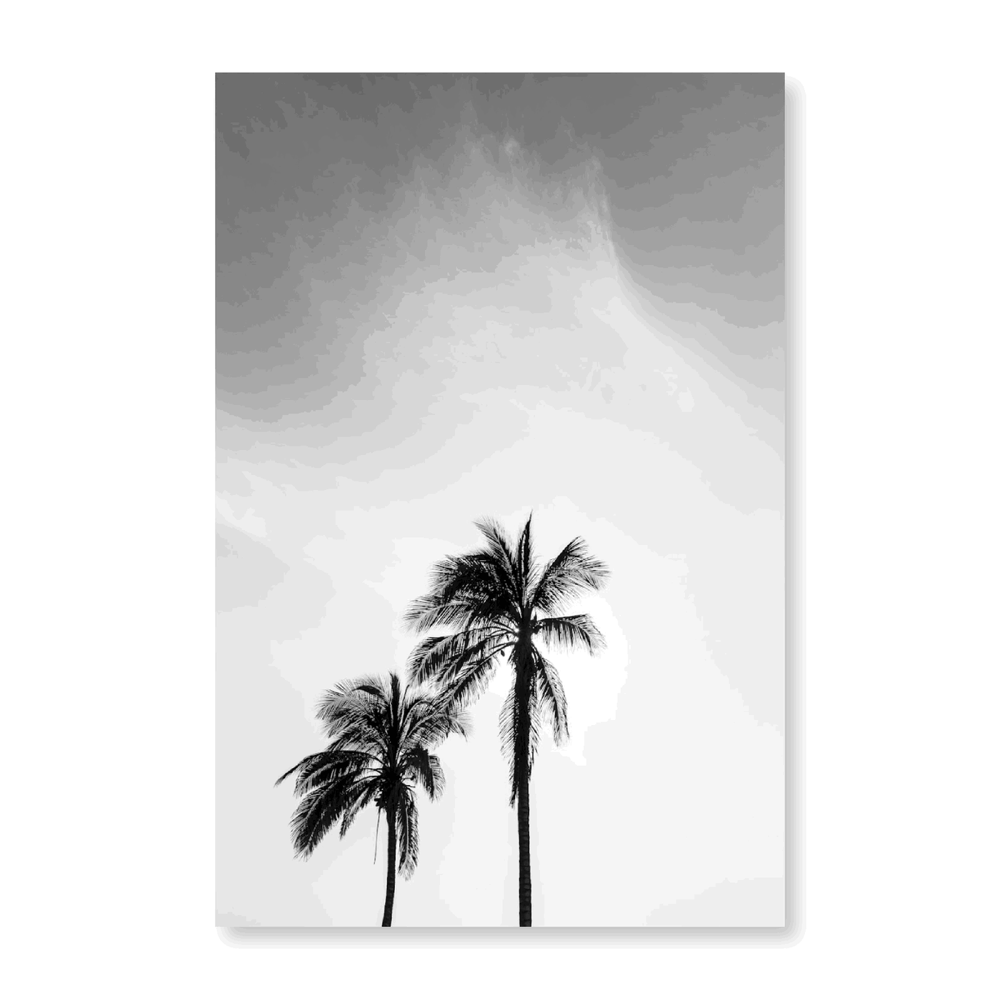 Palm Trees - Jasper & Jute