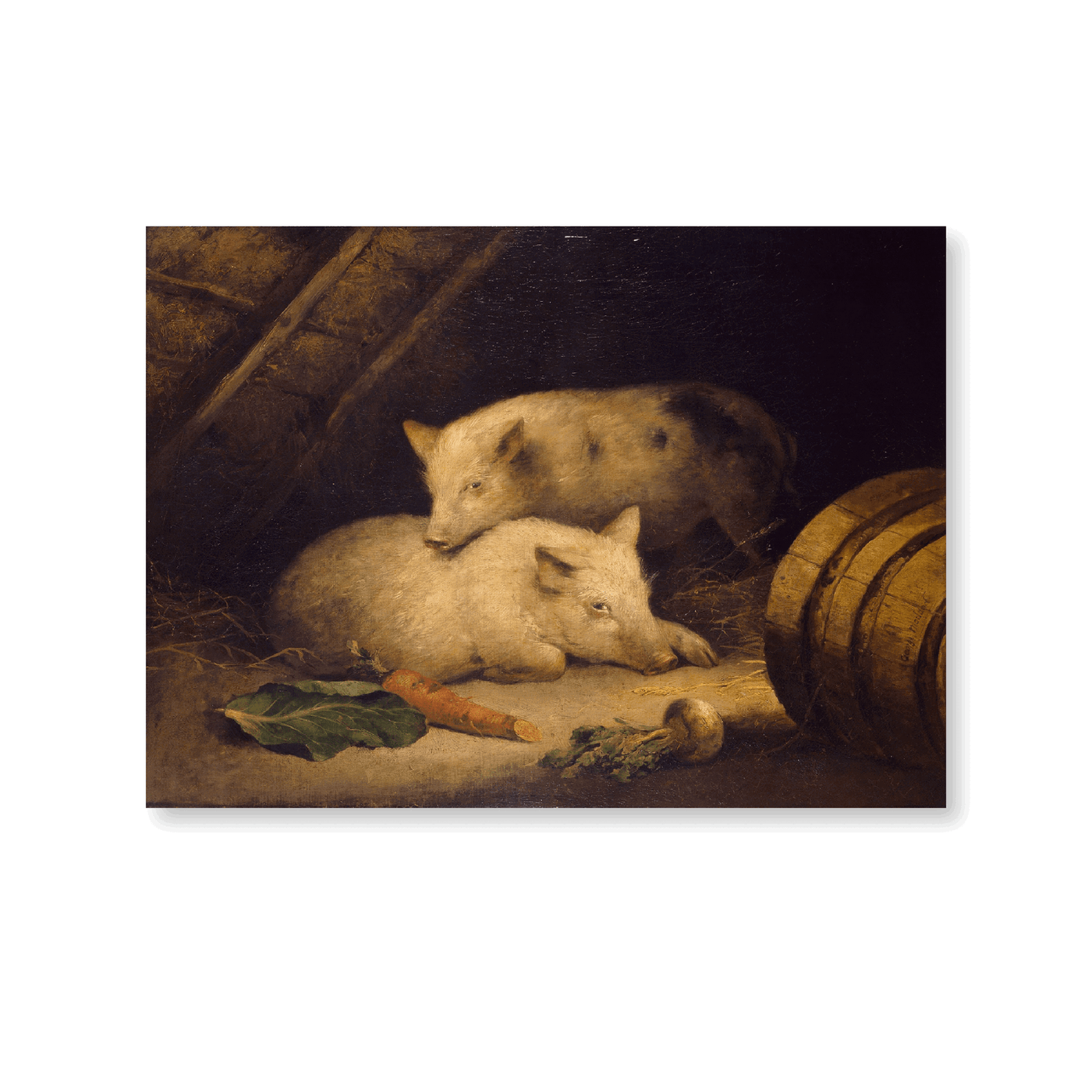 Pigs - Jasper & Jute