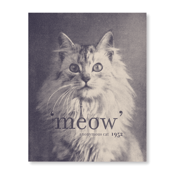 Quote Cat: Meow - Jasper & Jute