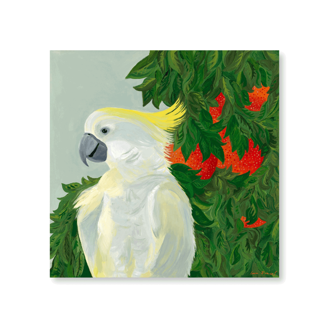 Raspberry Orange Cockatoo - Jasper & Jute