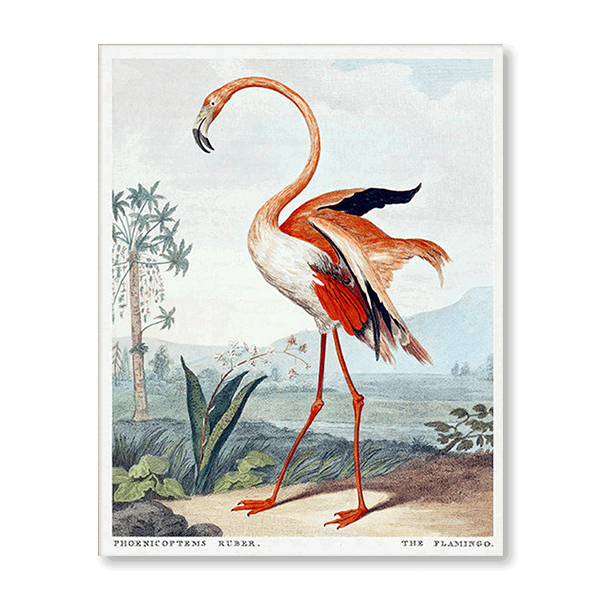 Romantic Flamingo - Jasper & Jute