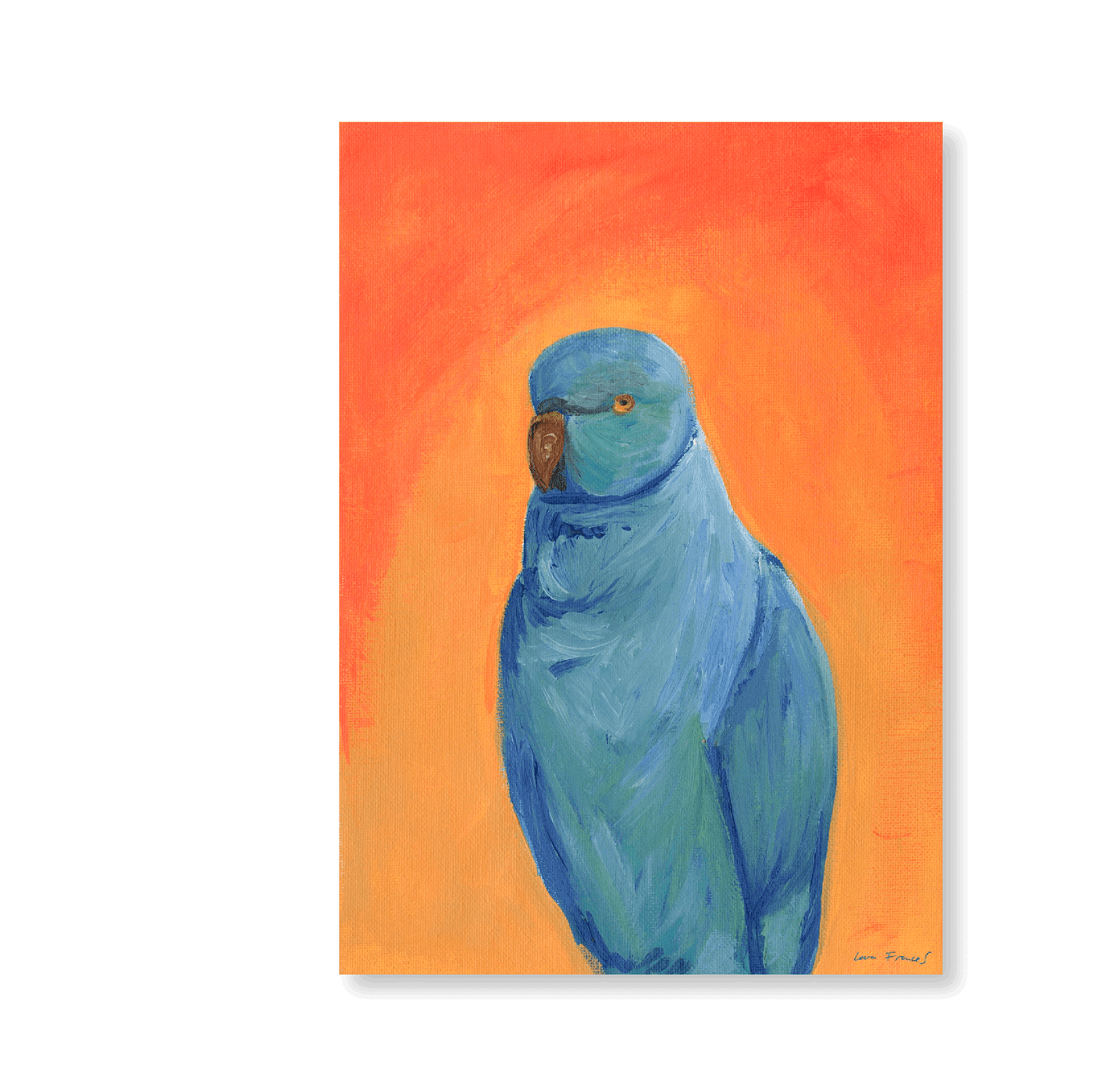 Scruffy Parakeet | Original - Jasper & Jute