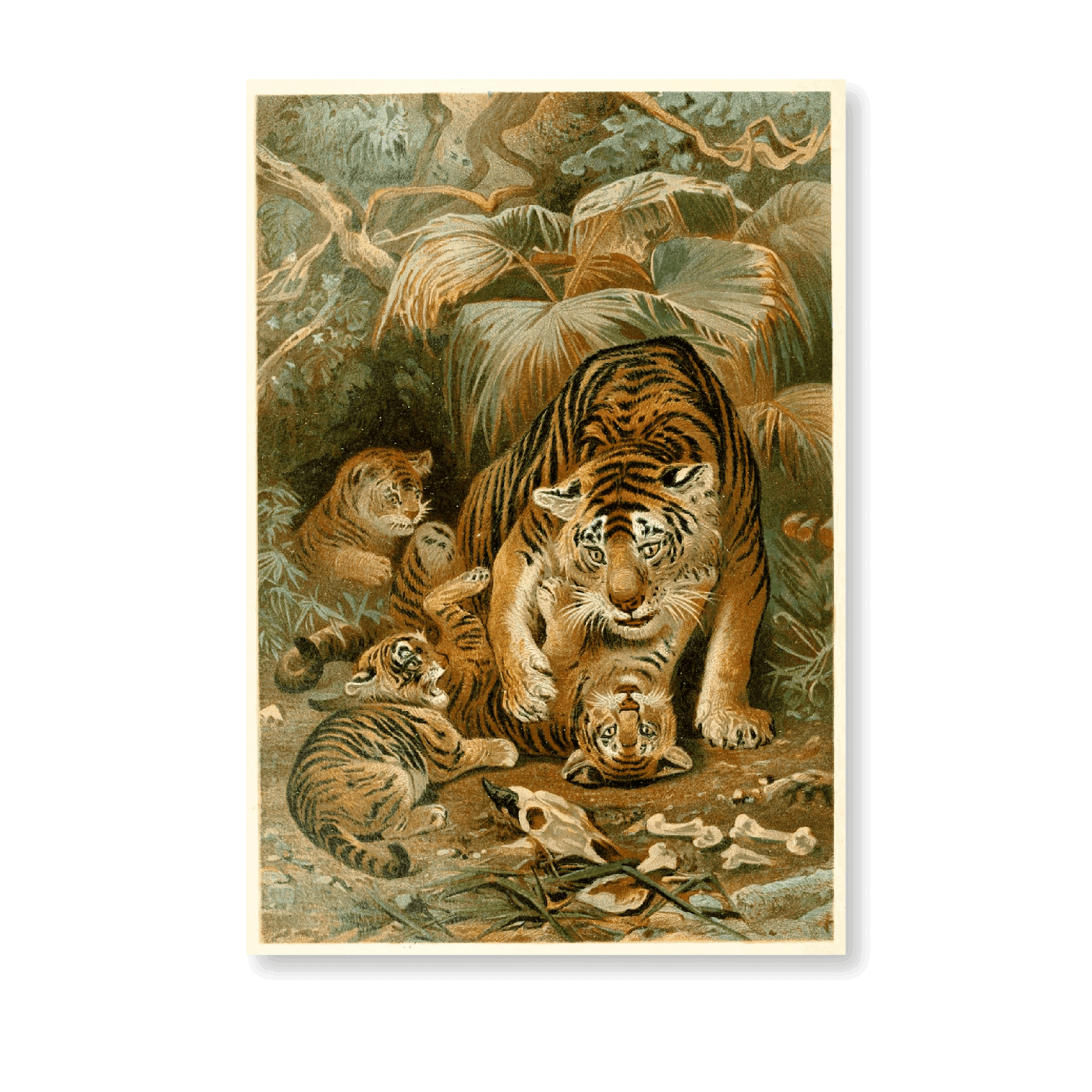 Tigress And Cubs - Jasper & Jute