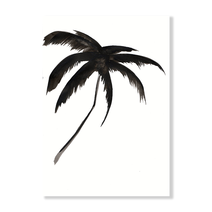 Beach Palm