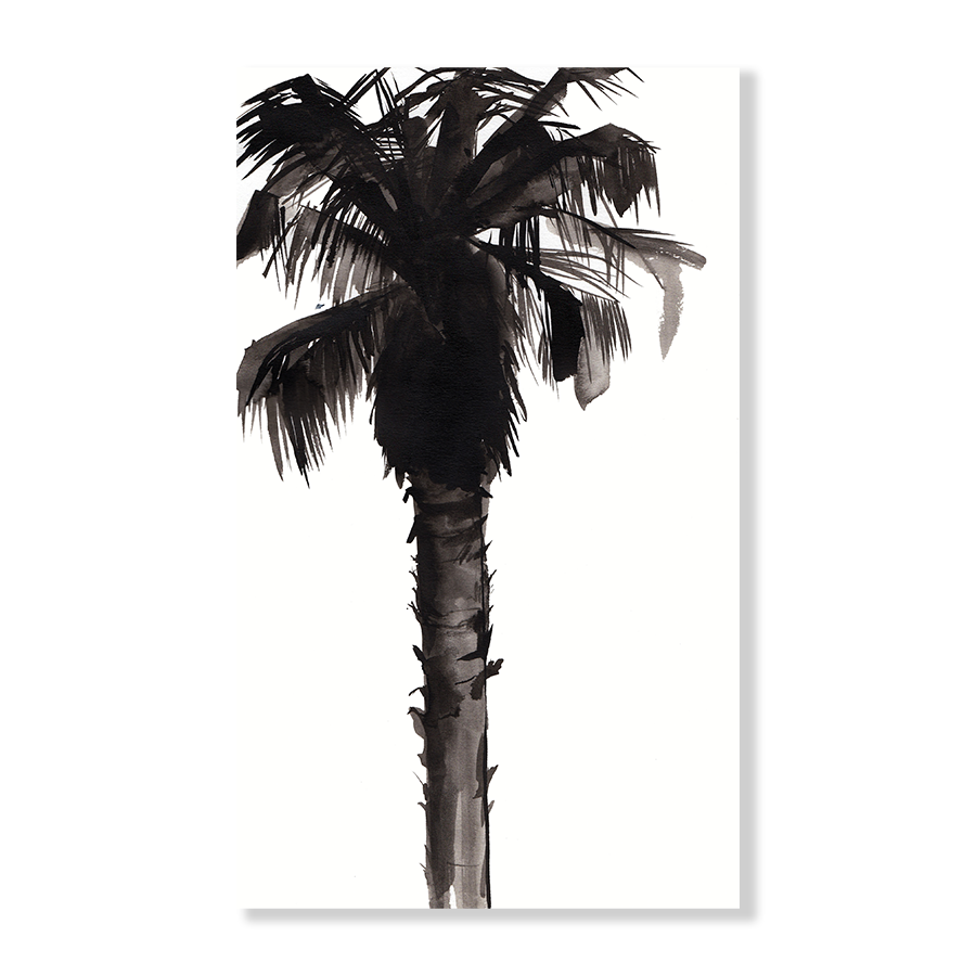 Palm