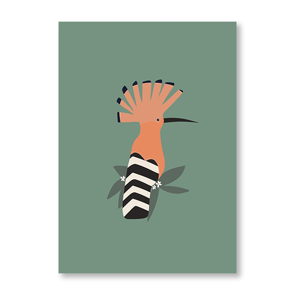 Hoopoe