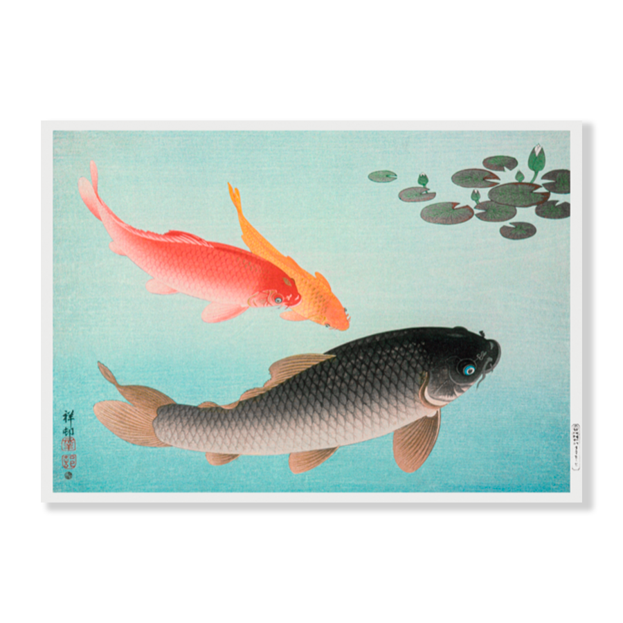 Ohara Koson: "Common and Golden Carp"