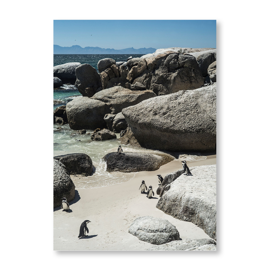 Boulders Beach